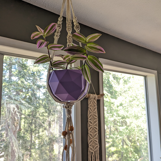 Plant Hanger