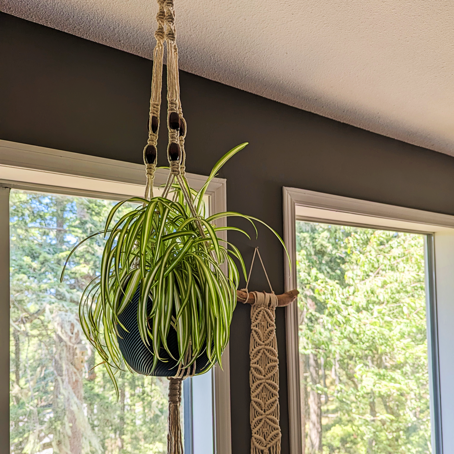 Plant Hanger