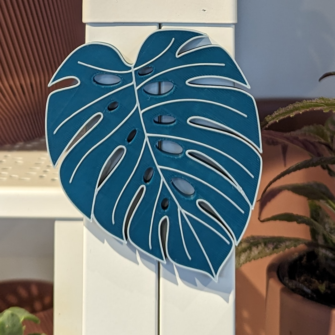 Monstera Leaf Magnet