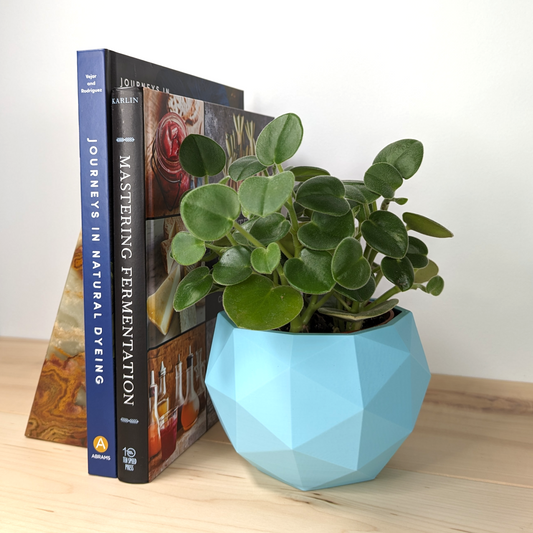 Portlock Planter