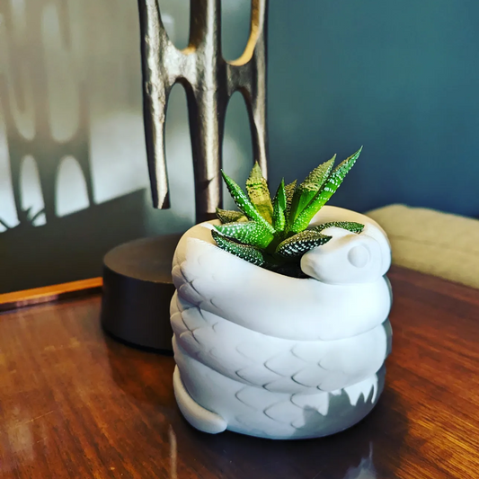 Serpentine Plant Pot