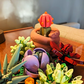 Serpentine Plant Pot